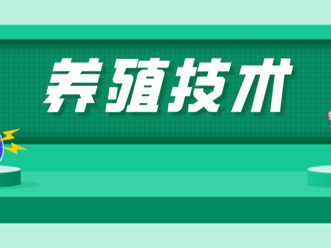 如何給“紅”臉的池塘和“花”臉的池塘做美容？