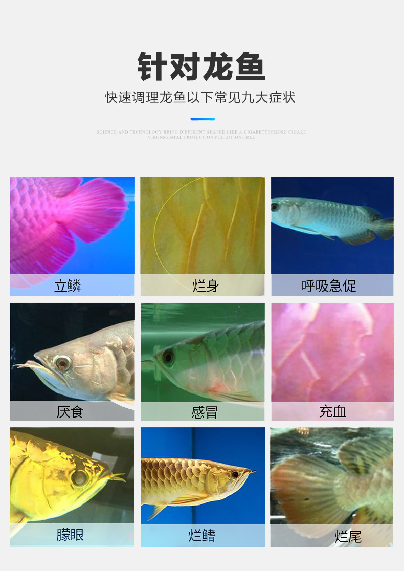 龍魚專用藥綜合調(diào)理劑