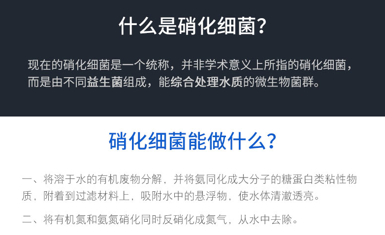 預(yù)防和改善觀賞魚細菌性病癥