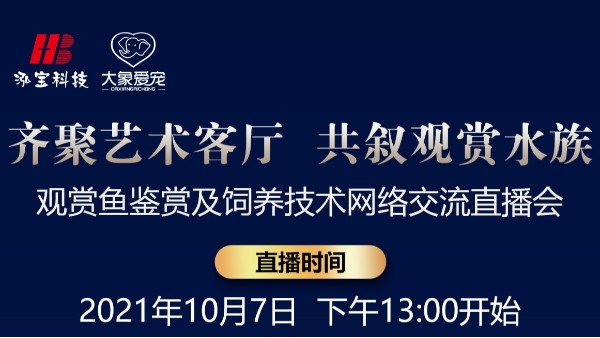 【10.7直播預告】齊聚藝術客廳 共敘觀賞水族-網(wǎng)絡交流直播會