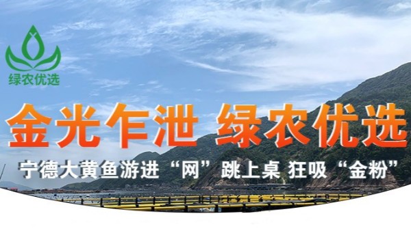 【9.12直播預(yù)告】綠農(nóng)優(yōu)選“寧德大黃魚”首場直播盛宴